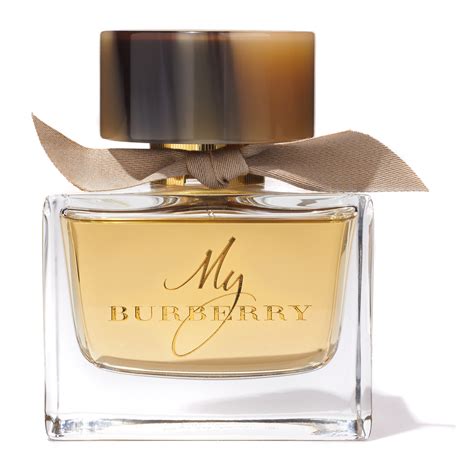 superwinkel burberry|burberry signatures for men.